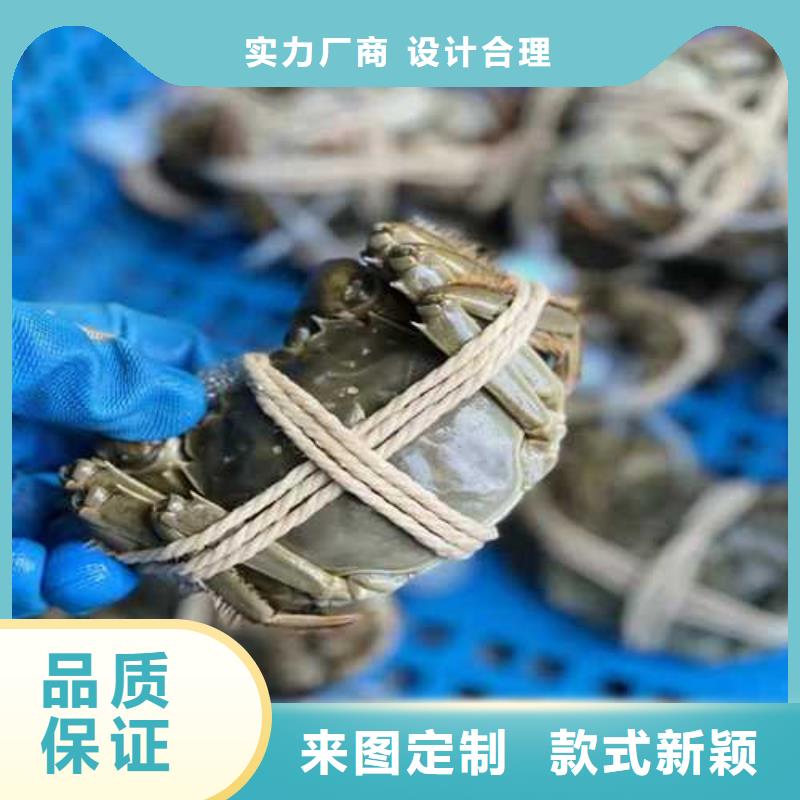 阳澄湖大闸蟹价格视频-太仓|虎丘|无锡|盐城|扬州|徐州顾记阳澄湖大闸蟹价格_ 阳澄湖镇岛顾记大闸蟹经营部(苏州市分公司)