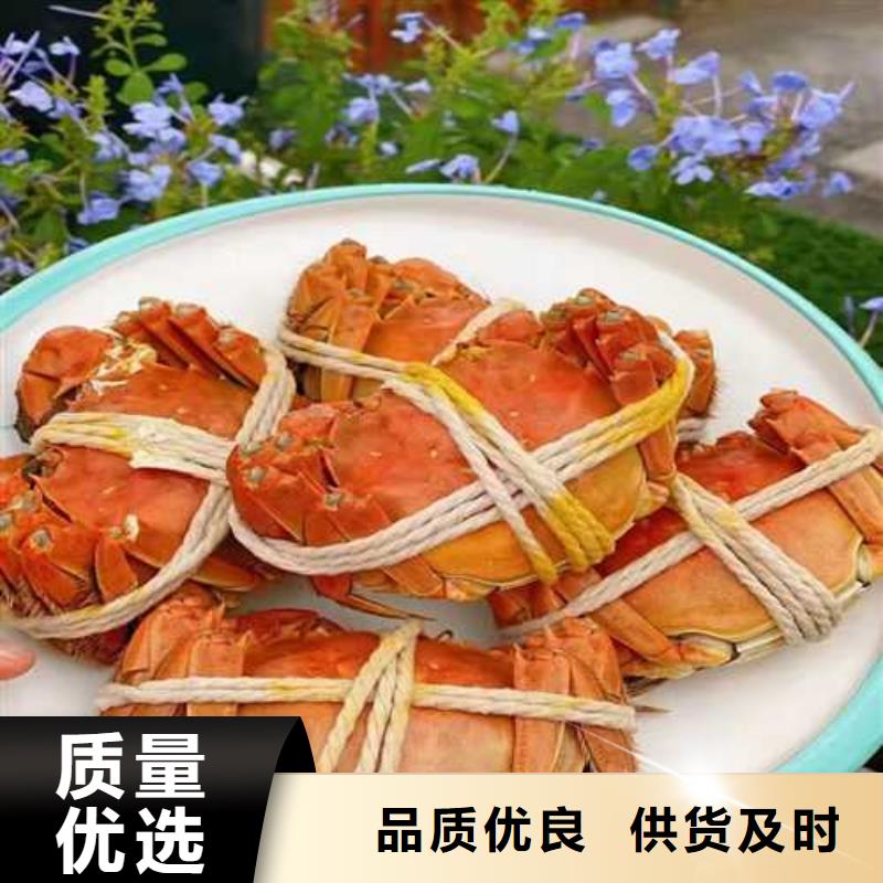 一致好评产品【大闸蟹】,阳澄湖大闸蟹性价比高