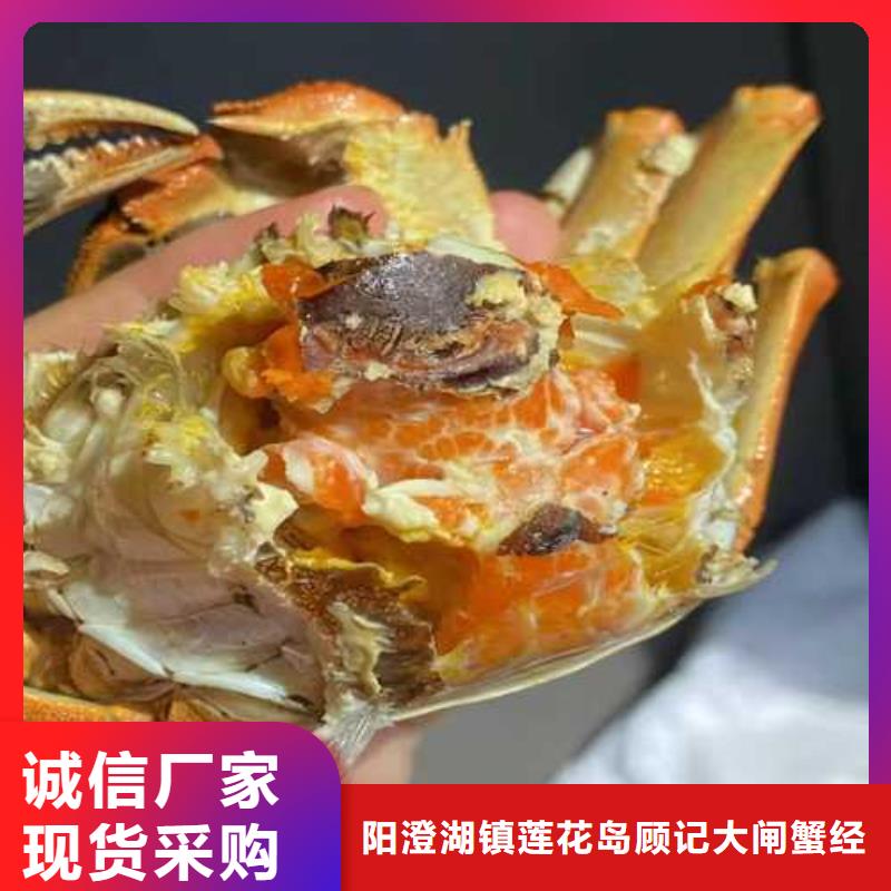 阳澄湖大闸蟹价格视频-阳澄湖大闸蟹价格|玉溪市|易门|红塔|大理|文山|昆明|德宏|迪庆|怒江|普洱