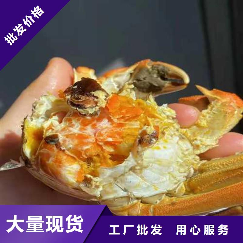 阳澄湖大闸蟹价格视频-阳澄湖大闸蟹价格|乌鲁木齐市|克拉玛依|伊犁