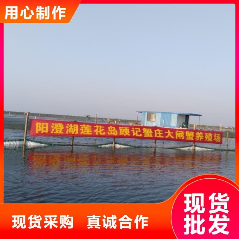 去阳澄湖蟹哪里正宗在苏州阳澄湖