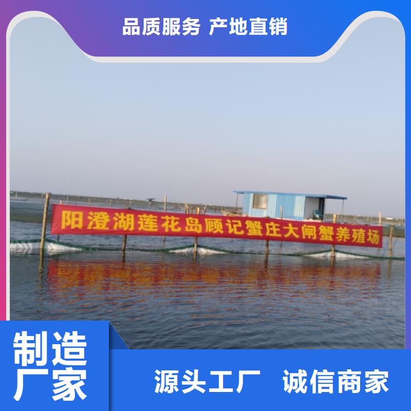 阳澄湖蟹哪里正宗好吃苏州莲花岛顾记蟹庄