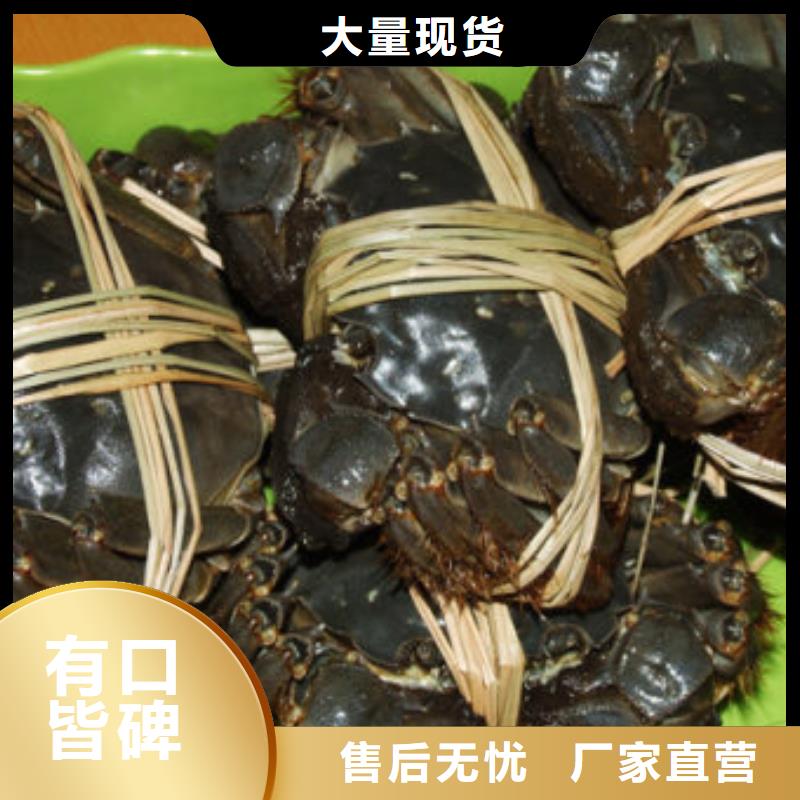 阳澄湖大闸蟹哪里比较好苏州莲花岛顾记蟹庄