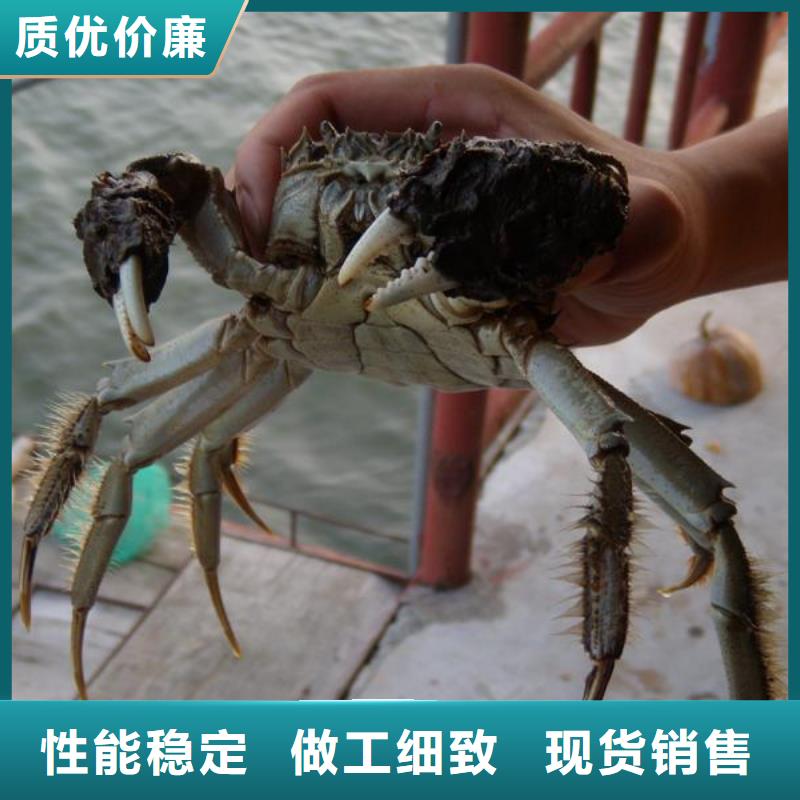 去阳澄湖蟹哪里正宗在苏州阳澄湖