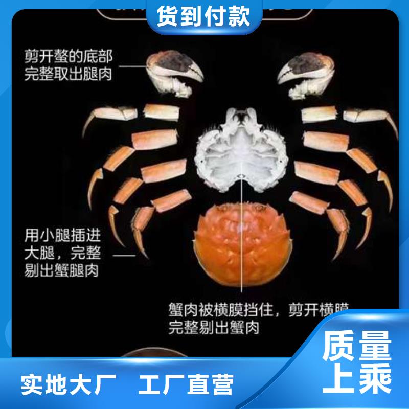 阳澄湖大闸蟹价格视频-天峨|南丹|北海|防城港|钦州|玉林顾记阳澄湖大闸蟹价格_ 阳澄湖镇岛顾记大闸蟹经营部(河池市分公司)