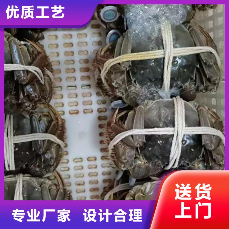阳澄湖大闸蟹价格视频-福建省福州市顾记阳澄湖大闸蟹价格可服务区域闽侯|永泰|厦门|漳州|三明|泉州|莆田等