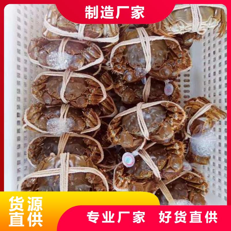 阳澄湖大闸蟹价格视频-新疆伊犁市|乌鲁木齐|克拉玛依阳澄湖大闸蟹价格-顾记
