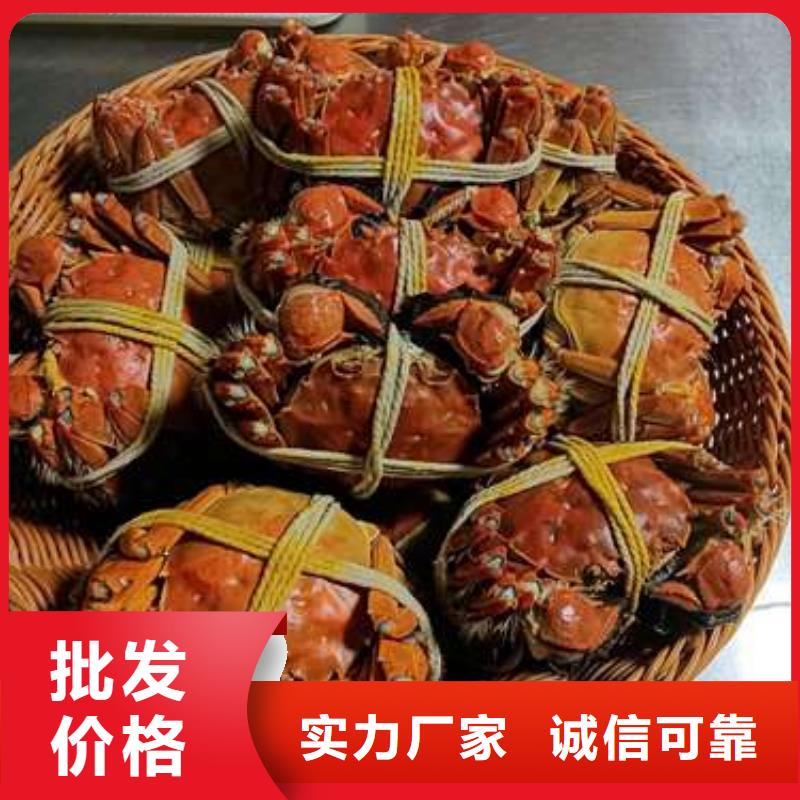 阳澄湖大闸蟹价格视频-福建省福州市顾记阳澄湖大闸蟹价格可服务区域闽侯|永泰|厦门|漳州|三明|泉州|莆田等