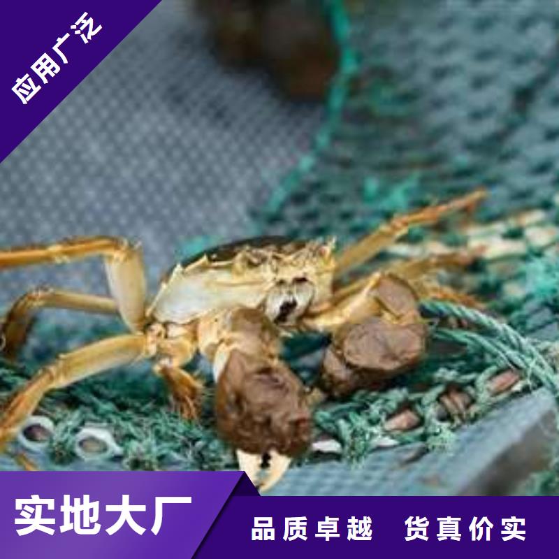 阳澄湖大闸蟹价格视频-阳澄湖大闸蟹价格(顾记)覆盖地域云南省迪庆市香格里拉|德钦|楚雄|大理|怒江|昭通|曲靖