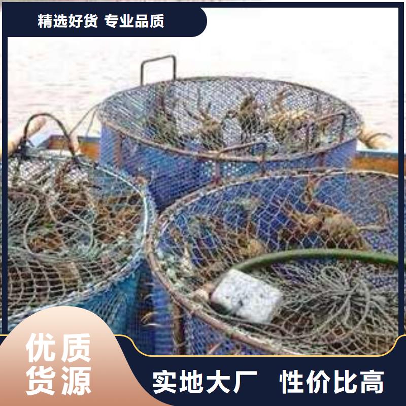 阳澄湖大闸蟹价格视频-阳澄湖大闸蟹价格(顾记)覆盖地域云南省迪庆市香格里拉|德钦|楚雄|大理|怒江|昭通|曲靖