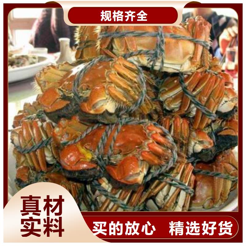 阳澄湖大闸蟹价格视频-天峨|南丹|北海|防城港|钦州|玉林顾记阳澄湖大闸蟹价格_ 阳澄湖镇岛顾记大闸蟹经营部(河池市分公司)