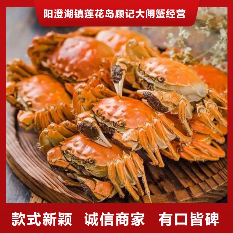 阳澄湖大闸蟹价格视频-天峨|南丹|北海|防城港|钦州|玉林顾记阳澄湖大闸蟹价格_ 阳澄湖镇岛顾记大闸蟹经营部(河池市分公司)