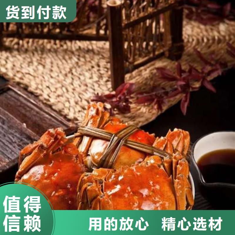 阳澄湖大闸蟹价格视频-福建省福州市顾记阳澄湖大闸蟹价格可服务区域闽侯|永泰|厦门|漳州|三明|泉州|莆田等