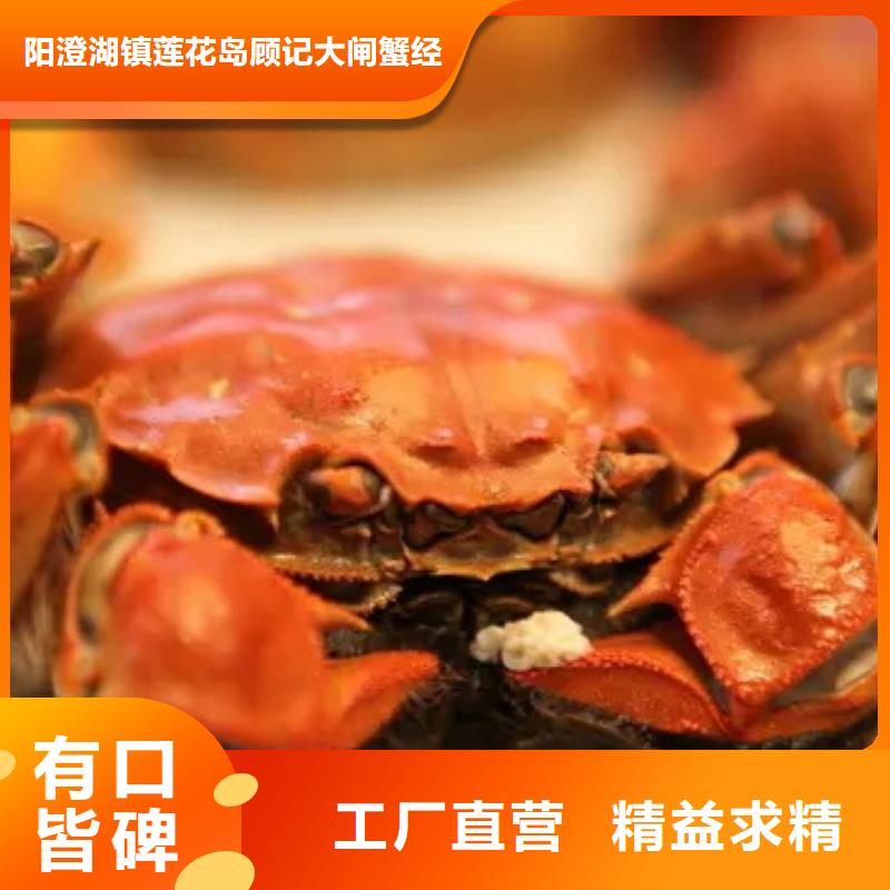 阳澄湖大闸蟹价格视频-福建省福州市顾记阳澄湖大闸蟹价格可服务区域闽侯|永泰|厦门|漳州|三明|泉州|莆田等