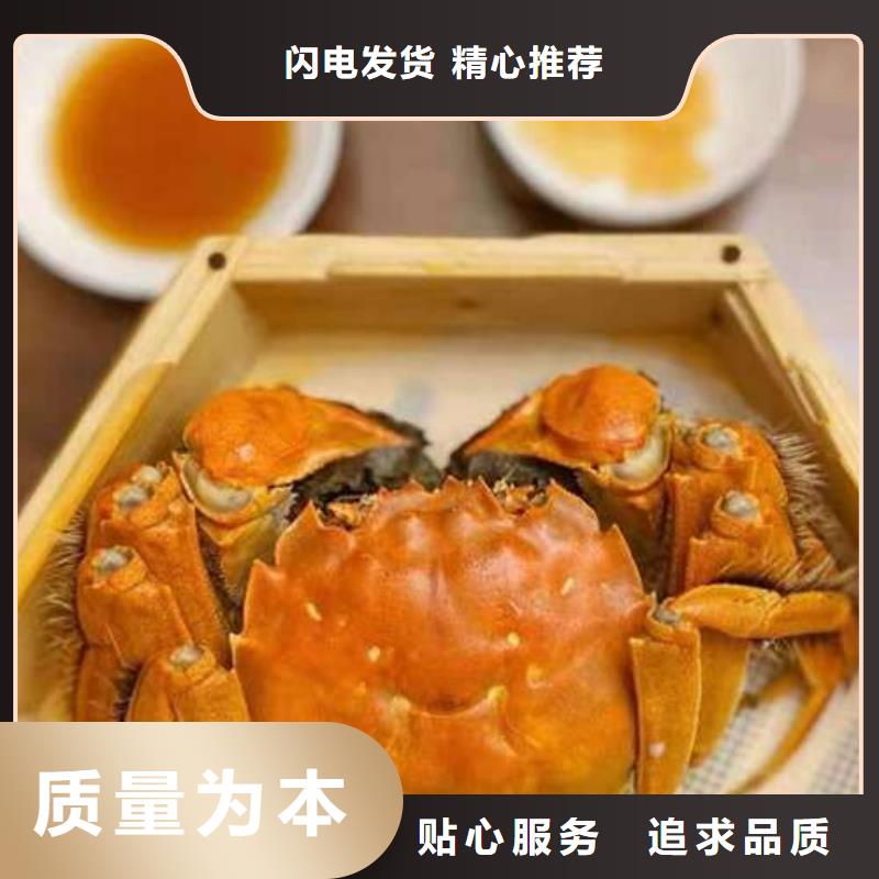 阳澄湖大闸蟹价格视频-天峨|南丹|北海|防城港|钦州|玉林顾记阳澄湖大闸蟹价格_ 阳澄湖镇岛顾记大闸蟹经营部(河池市分公司)