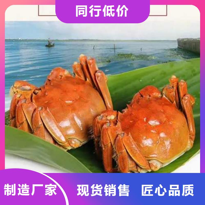 阳澄湖大闸蟹价格视频-新疆伊犁市|乌鲁木齐|克拉玛依阳澄湖大闸蟹价格-顾记