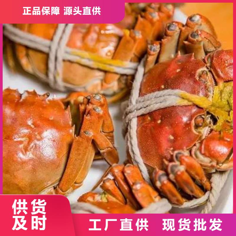 阳澄湖大闸蟹价格视频-福建省福州市顾记阳澄湖大闸蟹价格可服务区域闽侯|永泰|厦门|漳州|三明|泉州|莆田等
