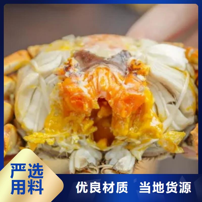 阳澄湖大闸蟹价格视频-天峨|南丹|北海|防城港|钦州|玉林顾记阳澄湖大闸蟹价格_ 阳澄湖镇岛顾记大闸蟹经营部(河池市分公司)