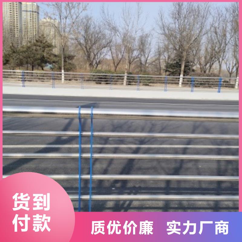 桥梁机动车道护栏-专注研发