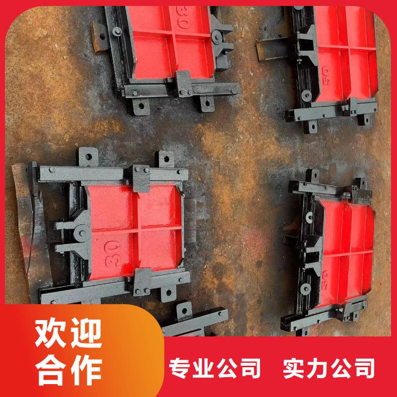 铸铁镶铜闸门-平板钢闸门自动化
