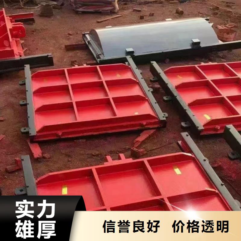 铸铁闸门-ZMQF铸铁镶铜闸门一站式