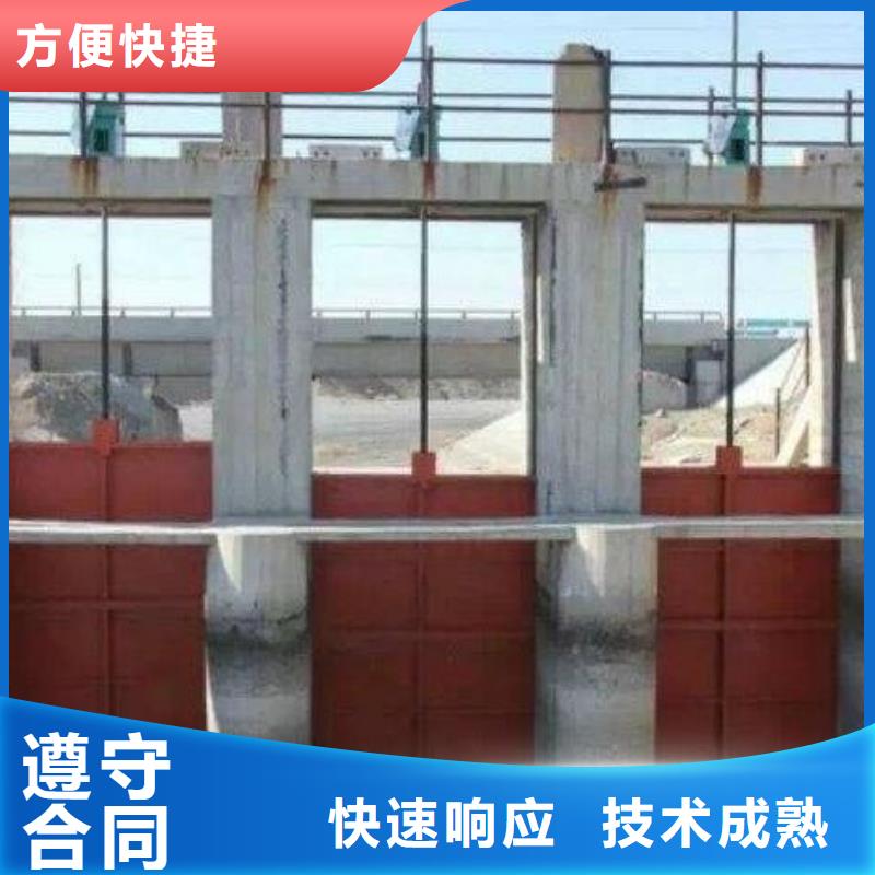 河道铸铁闸门-水坝止水闸门启闭机技术领先