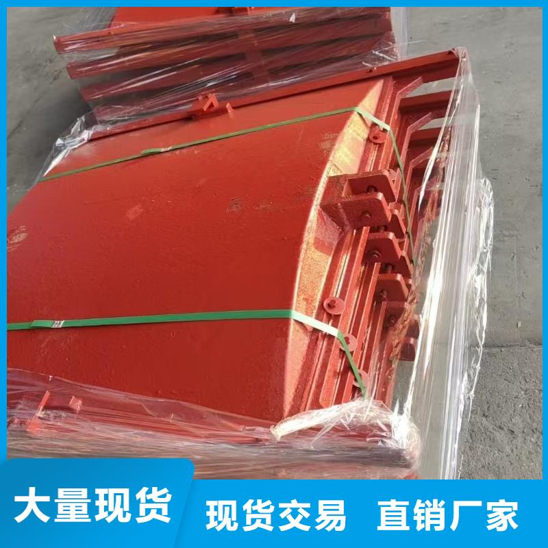 铸铁镶铜闸门