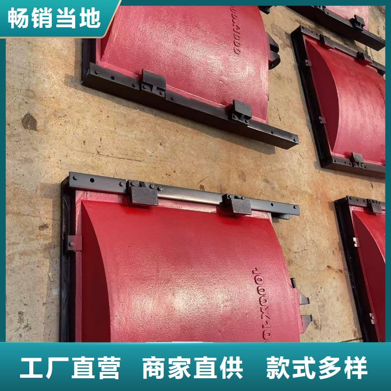 铸铁镶铜闸门-水闸闸门节能