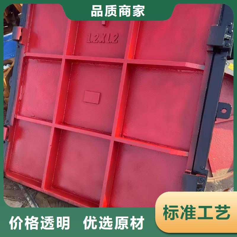 渠道闸门-铸铁闸门螺杆启闭机定制化