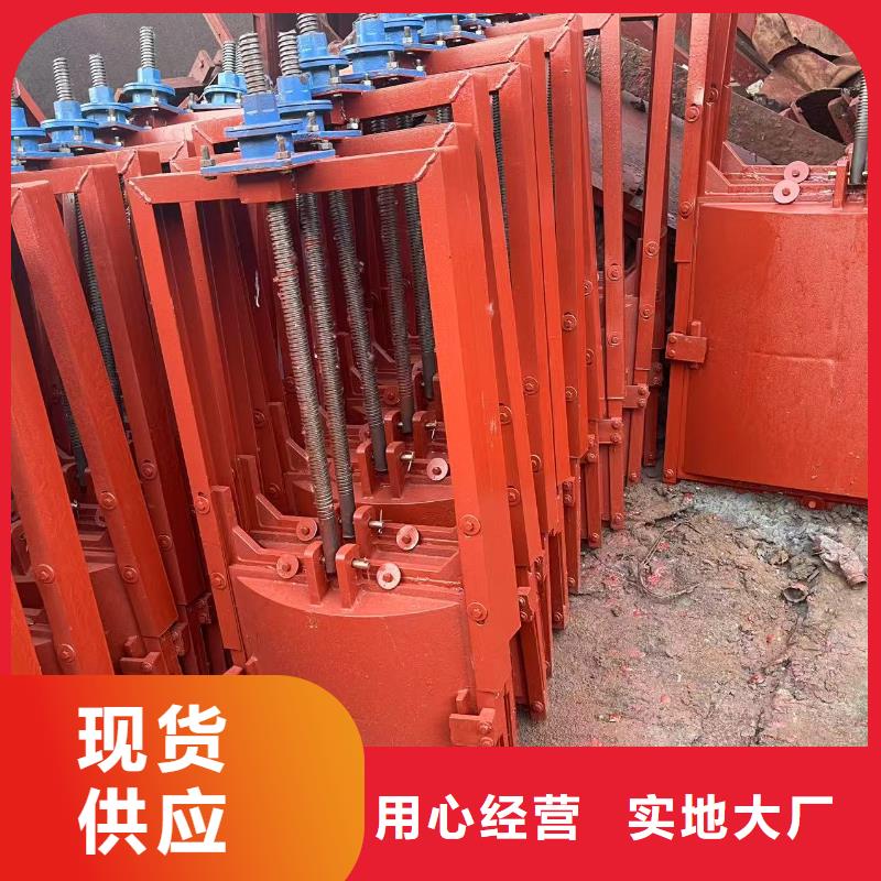 临高县启闭机闸门-附壁式双向止水铸铁闸门服务贴心