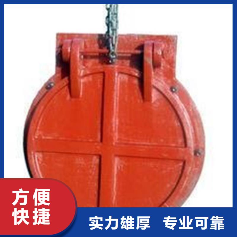 钢制拍门定制-厂家直销