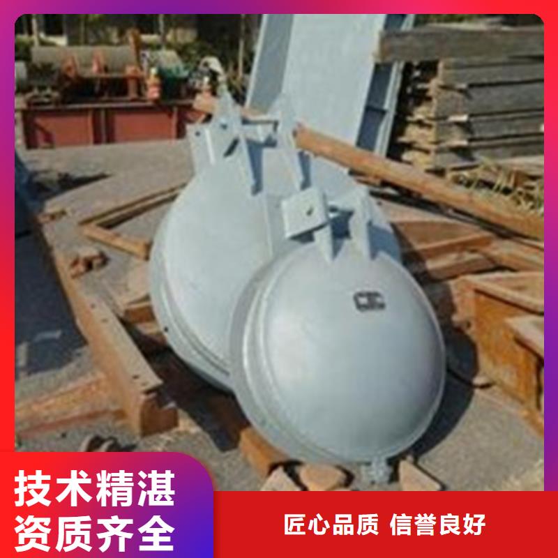服务周到的钢制拍门生产厂家