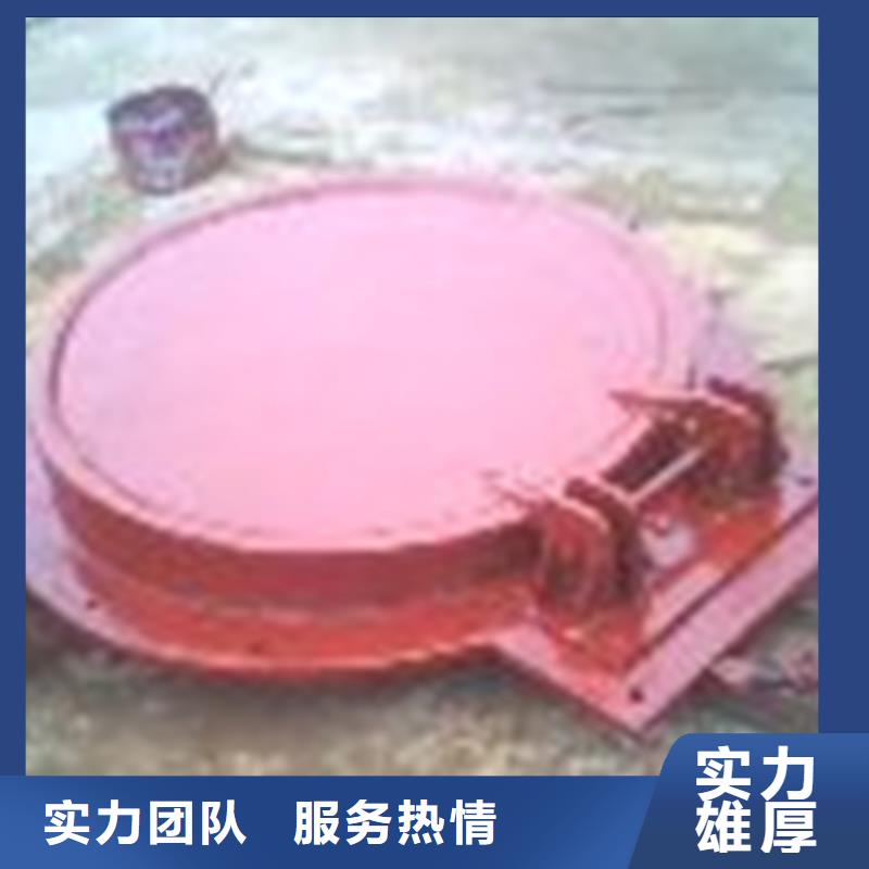 不锈钢拍门种类
