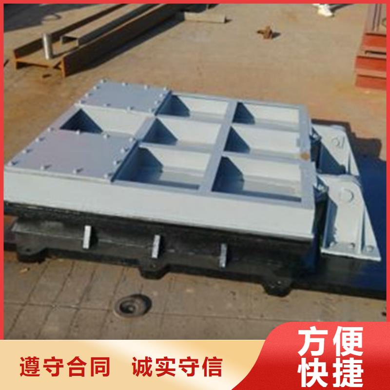 供应防倒灌铸铁拍门