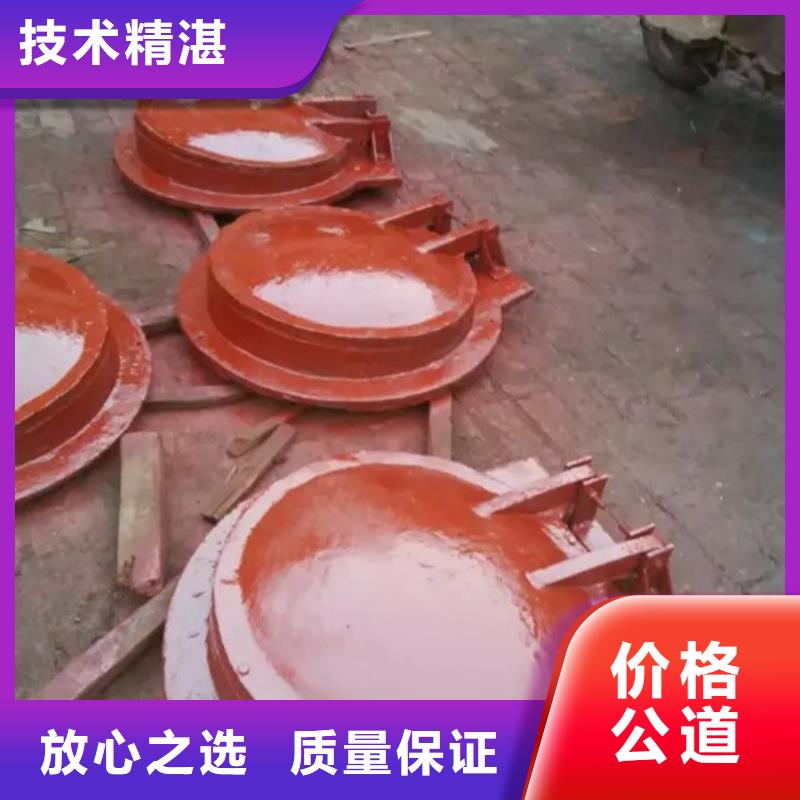 建邺区拍门厂家报价