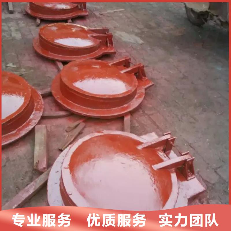 服务周到的钢制拍门生产厂家