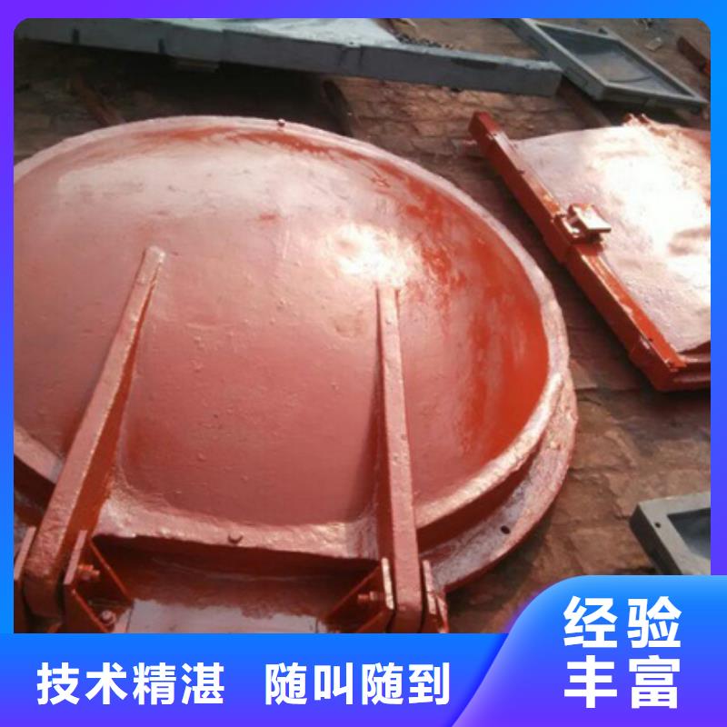 复合材料拍门厂家直销