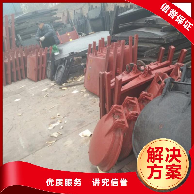 供应防倒灌铸铁拍门