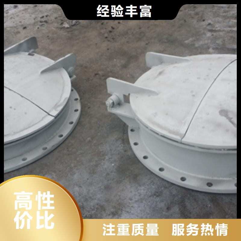 供应防倒灌铸铁拍门