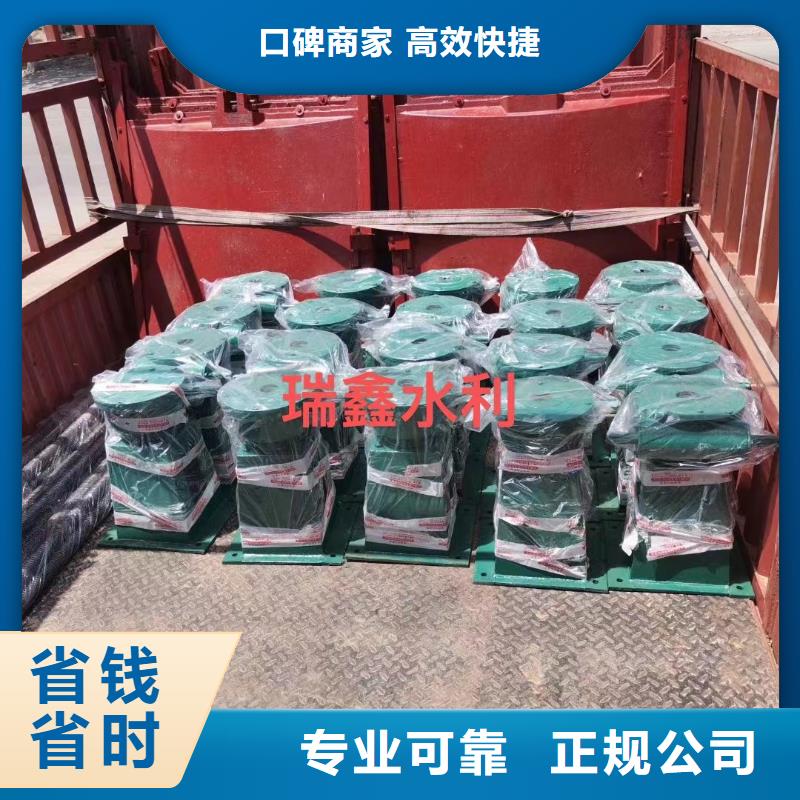 批发20T手电两用启闭机的批发商