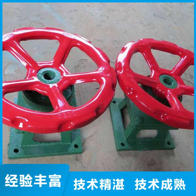 QL30KN手电两用启闭机定做_瑞鑫水工机械厂