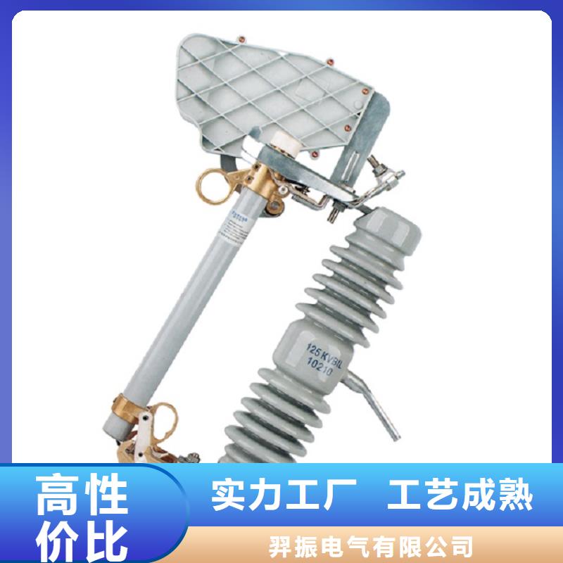 -户外高压交流跌落式熔断器PRW12-10/100A