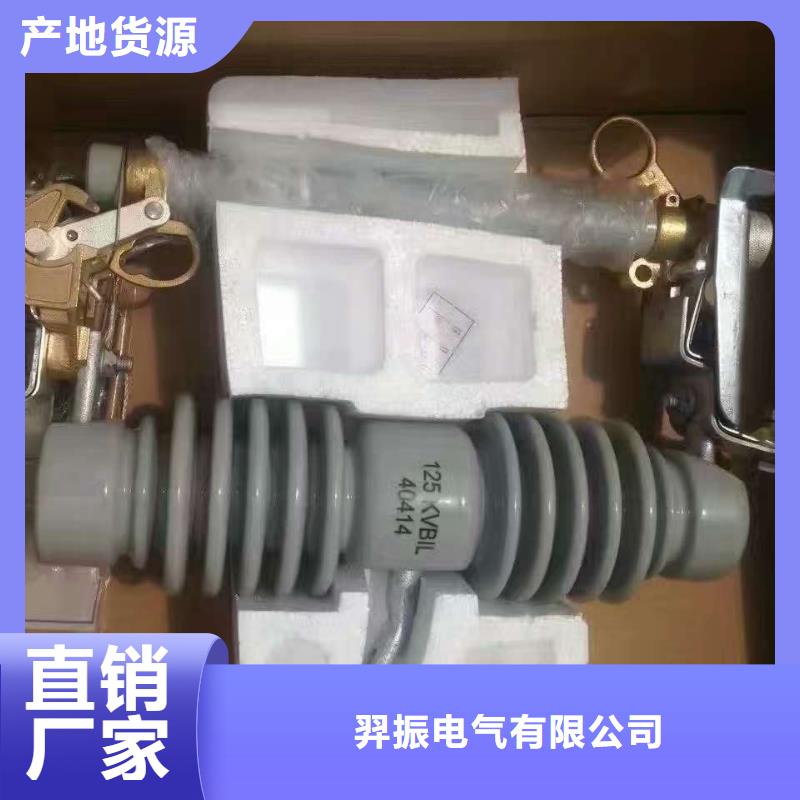 熔断器 户外绝缘件实力见证