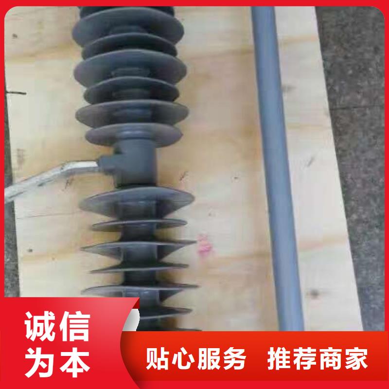 熔断器,金属氧化物避雷器优质货源
