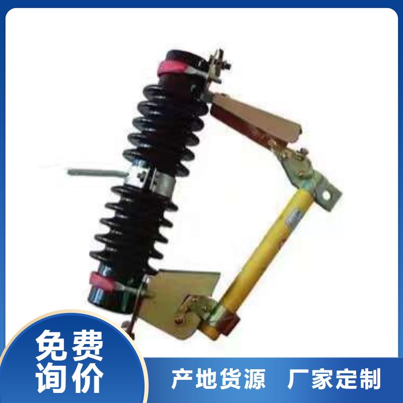熔断器 真空断路器按需定做