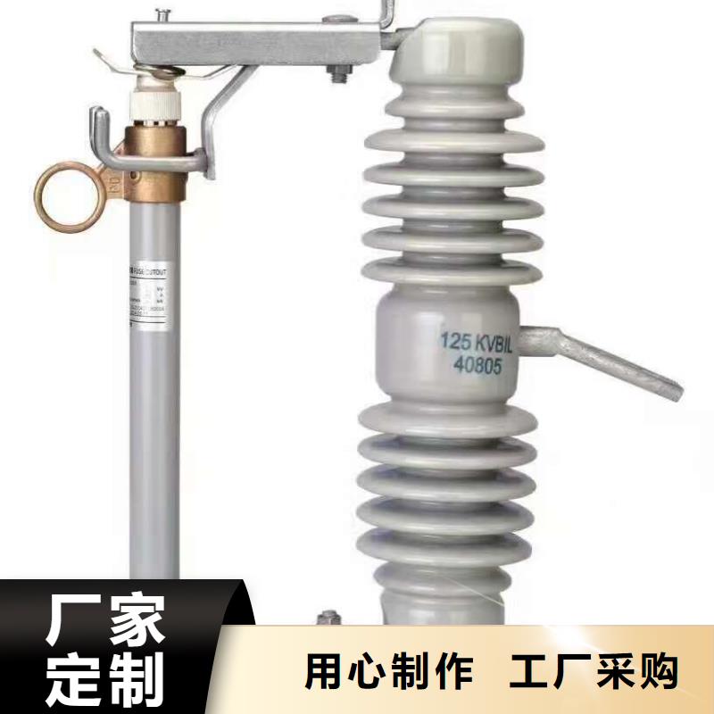 熔断器,高压支柱绝缘子今年新款