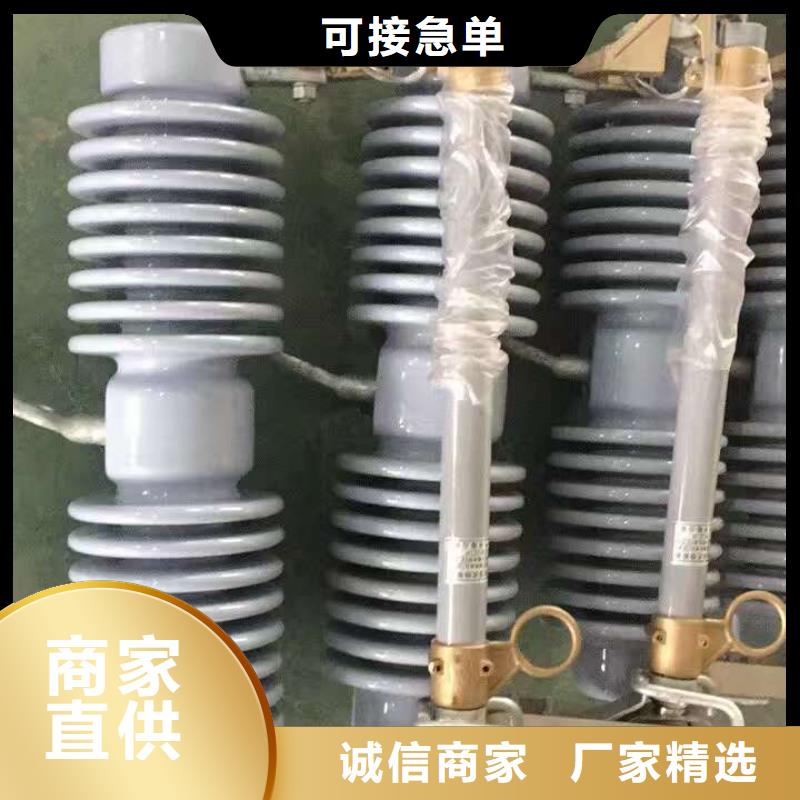 熔断器,高压支柱绝缘子今年新款