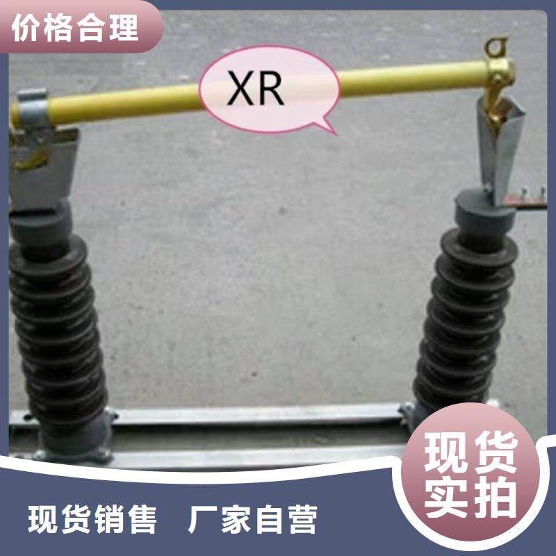 熔断器 真空断路器按需定做