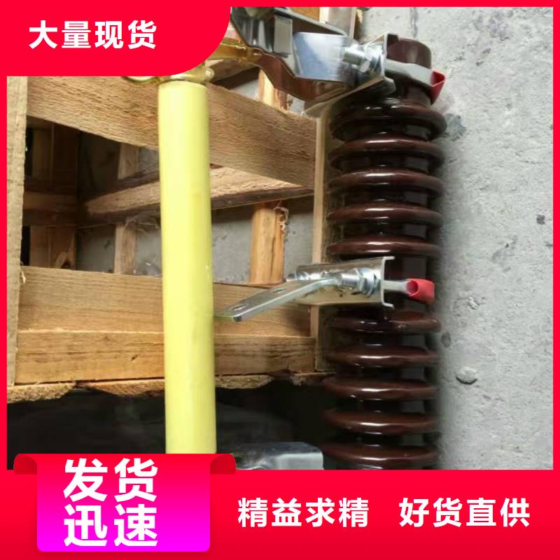 熔断器 真空断路器按需定做
