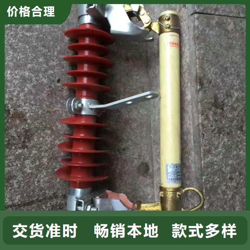 熔断器 真空断路器按需定做